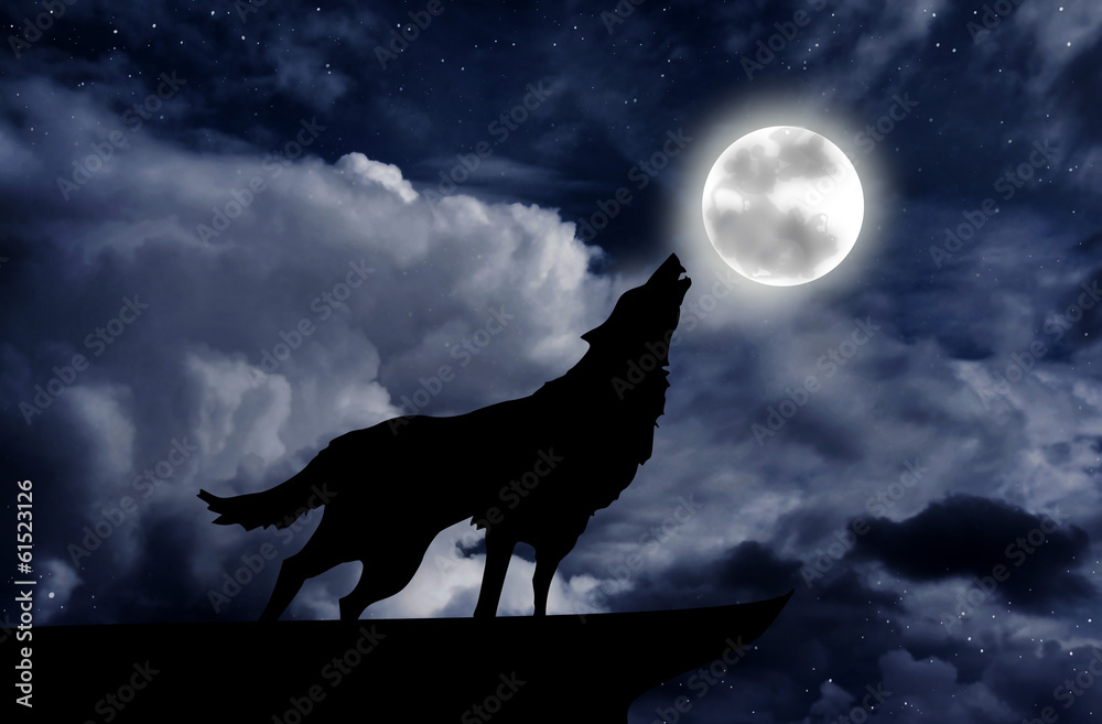 Obraz na płótnie Wolf howling at the full moon