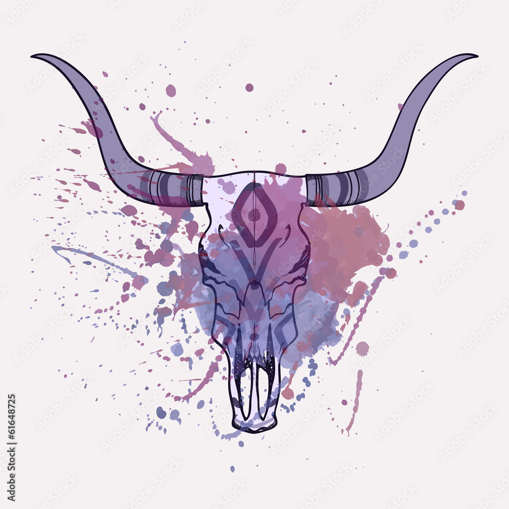 Fototapeta Vector illustration of bull