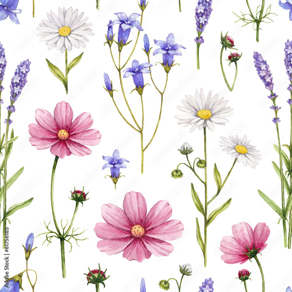 Tapeta Wild flowers illustration.