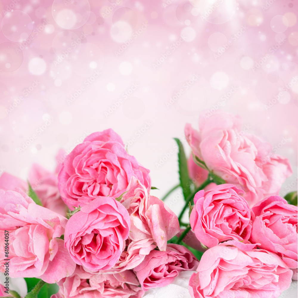 Fototapeta Pink roses on bokeh background