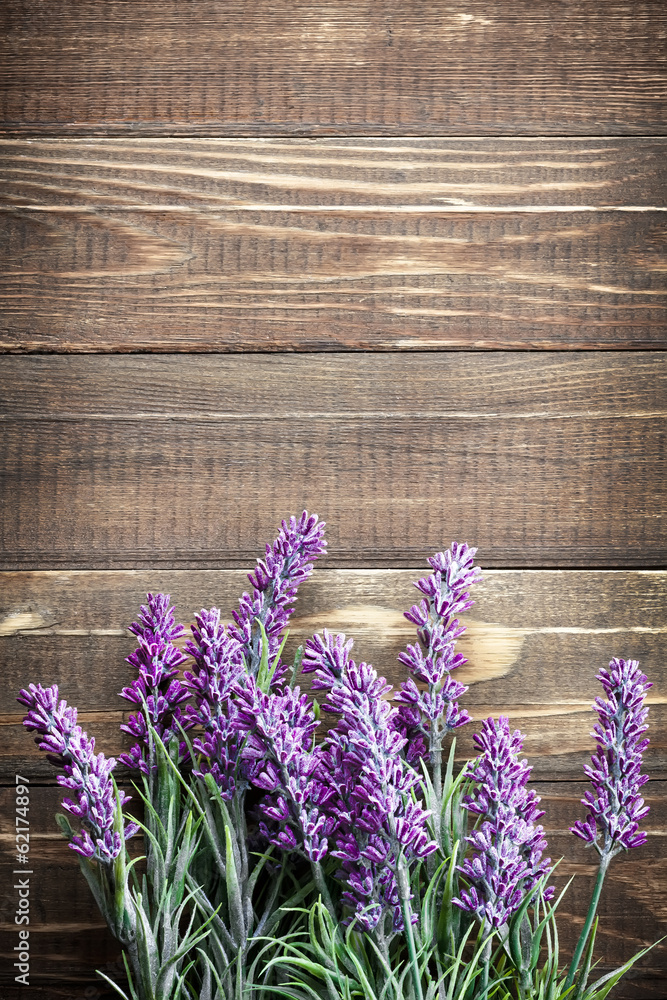 Fototapeta lavender