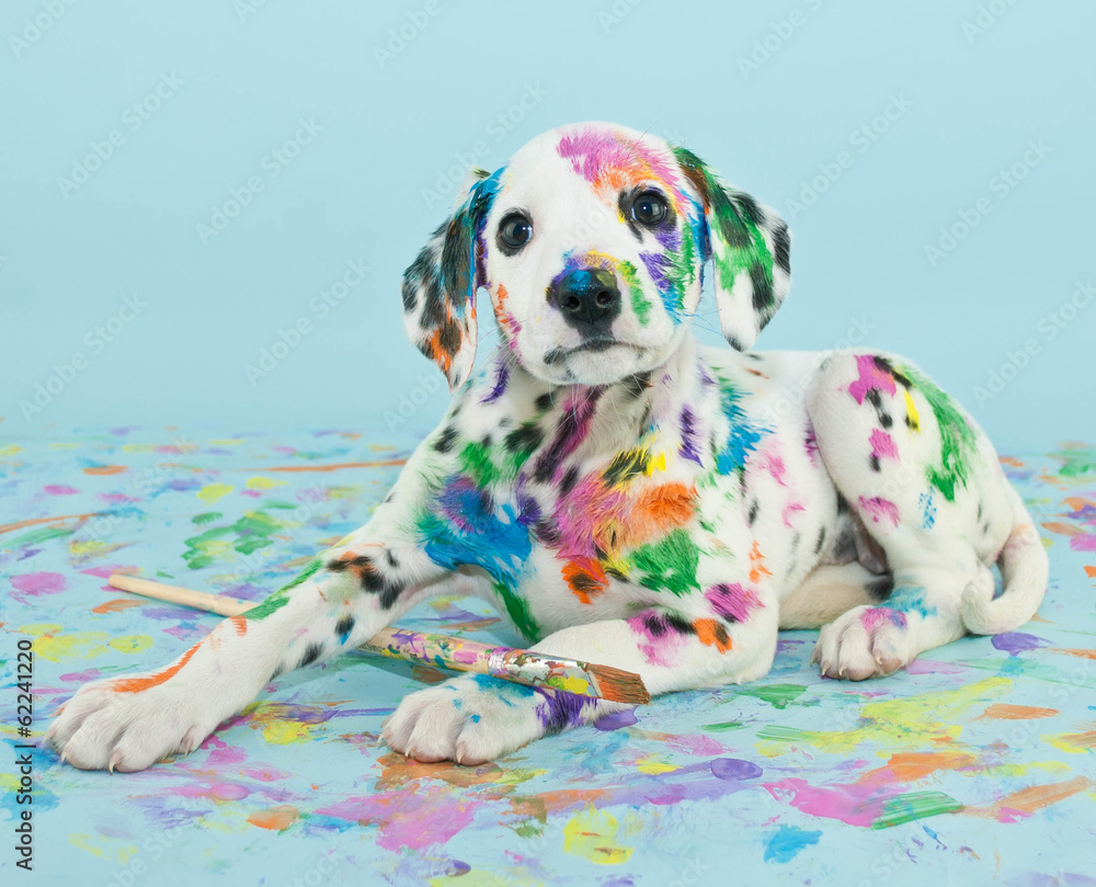 Obraz Pentaptyk Painted Puppy