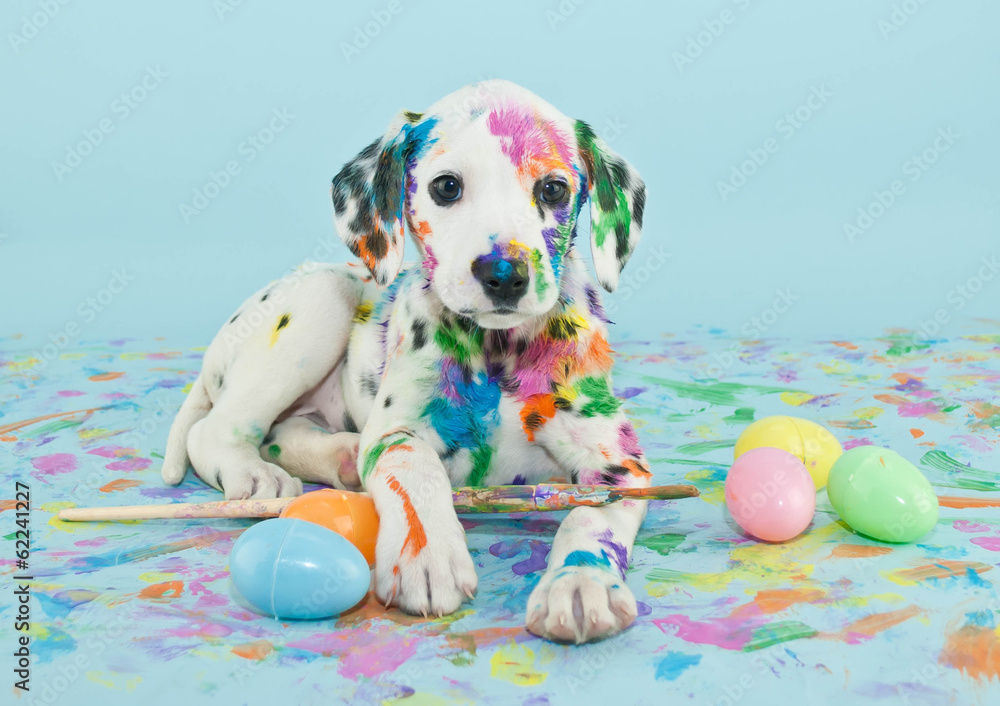 Obraz Tryptyk Easter Dalmatain Puppy