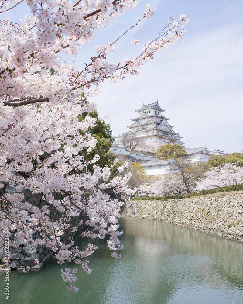 Obraz Pentaptyk Cherry blossoms and castle in
