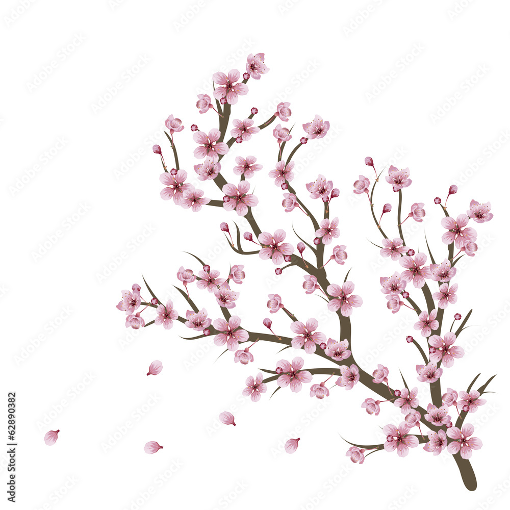 Obraz Pentaptyk Cherry Blossom Branch