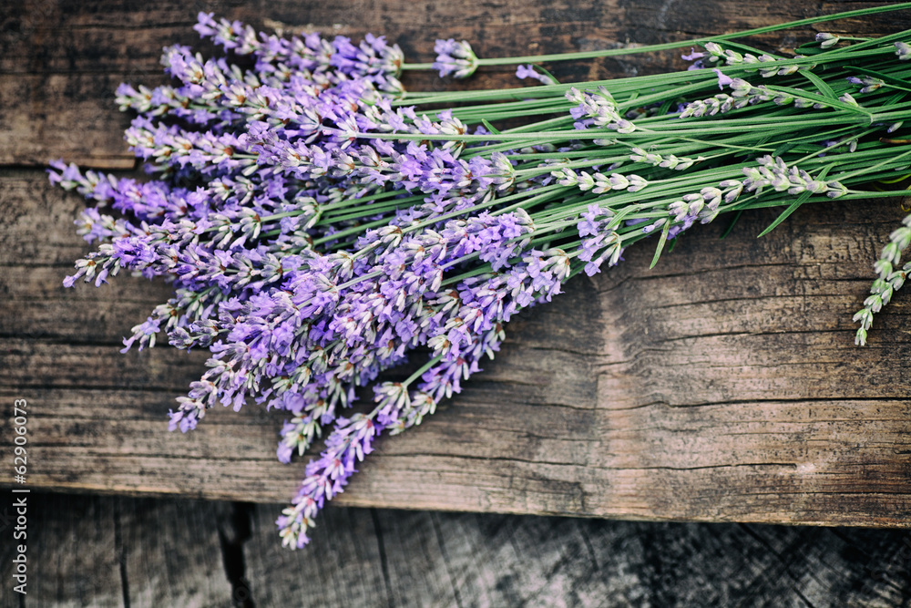 Fototapeta Fresh lavender