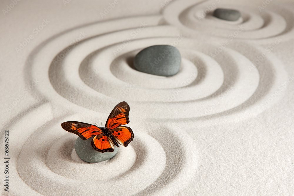 Obraz Tryptyk Zen rocks with butterfly