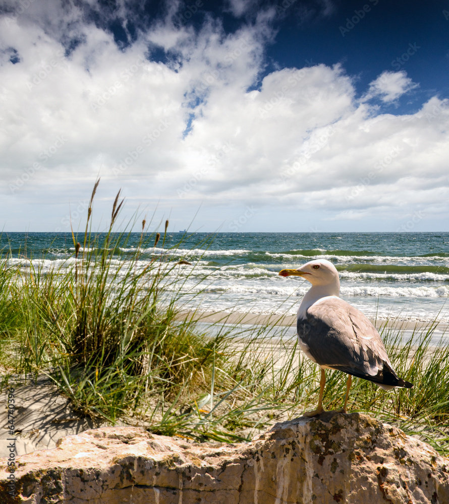 Obraz Tryptyk Strand mit Möwe :)