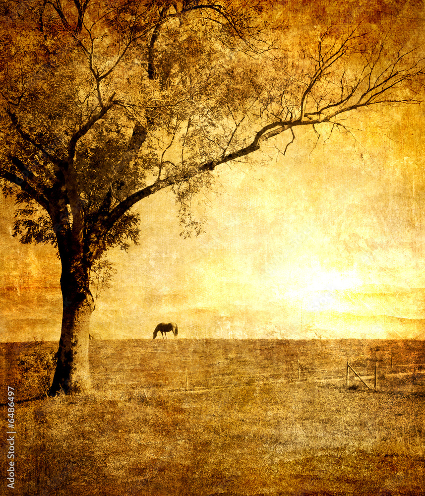 Obraz Tryptyk horse on sunset - toned