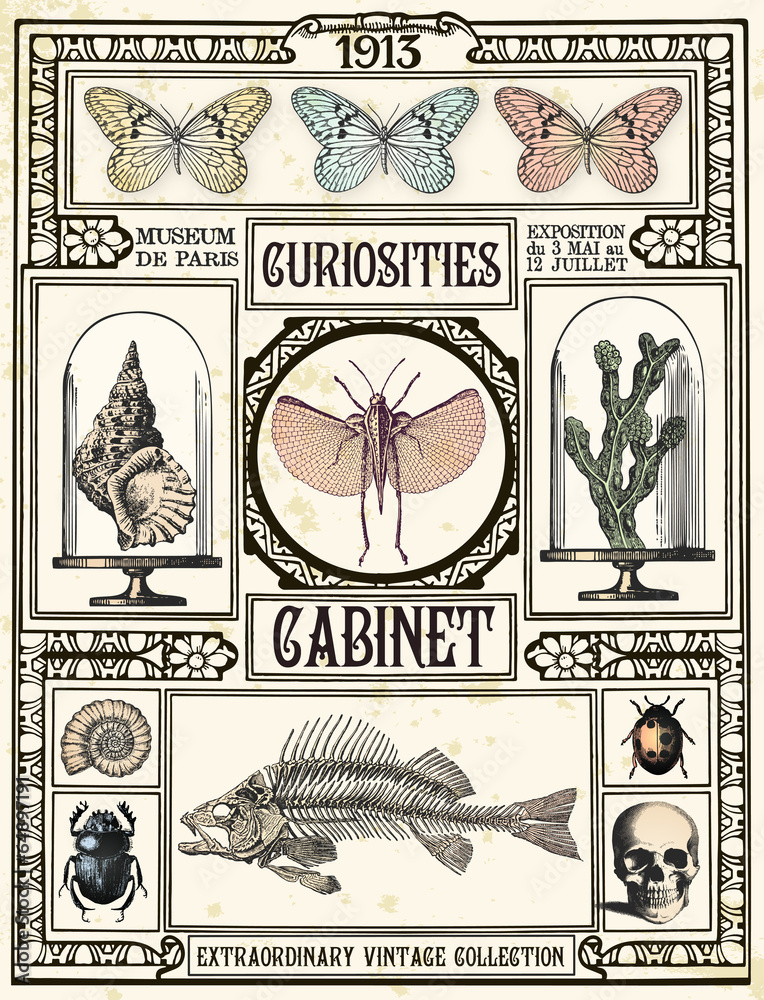 Obraz na płótnie Curiosities cabinet