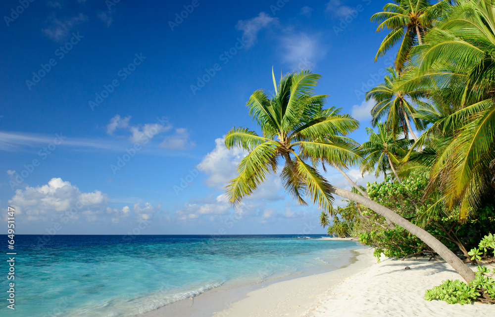Fototapeta Strand mit Palmen