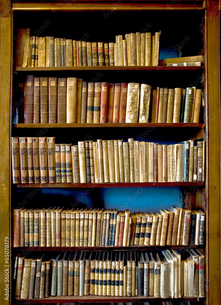 Fototapeta Books in the Library