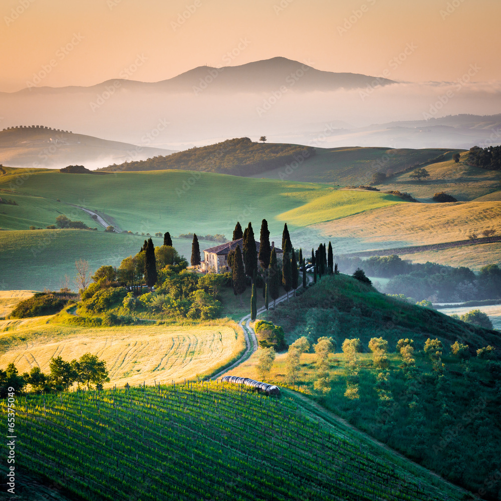 Fototapeta Mattino in Toscana, paesaggio