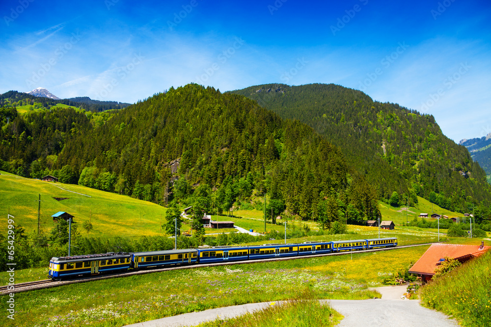 Fototapeta Train crossing countryside