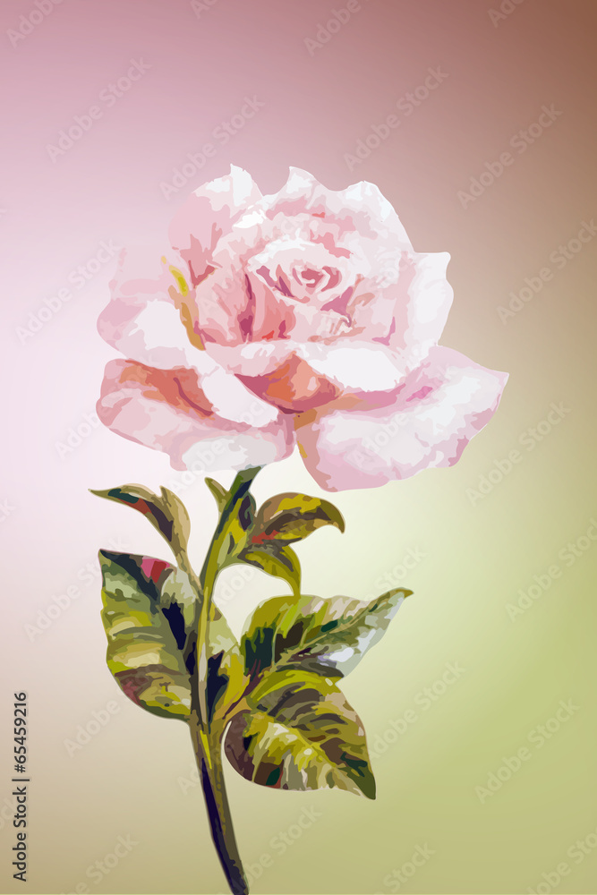 Obraz Tryptyk Rose. Summer flowers