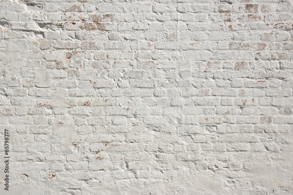 Fototapeta White grunge brick wall