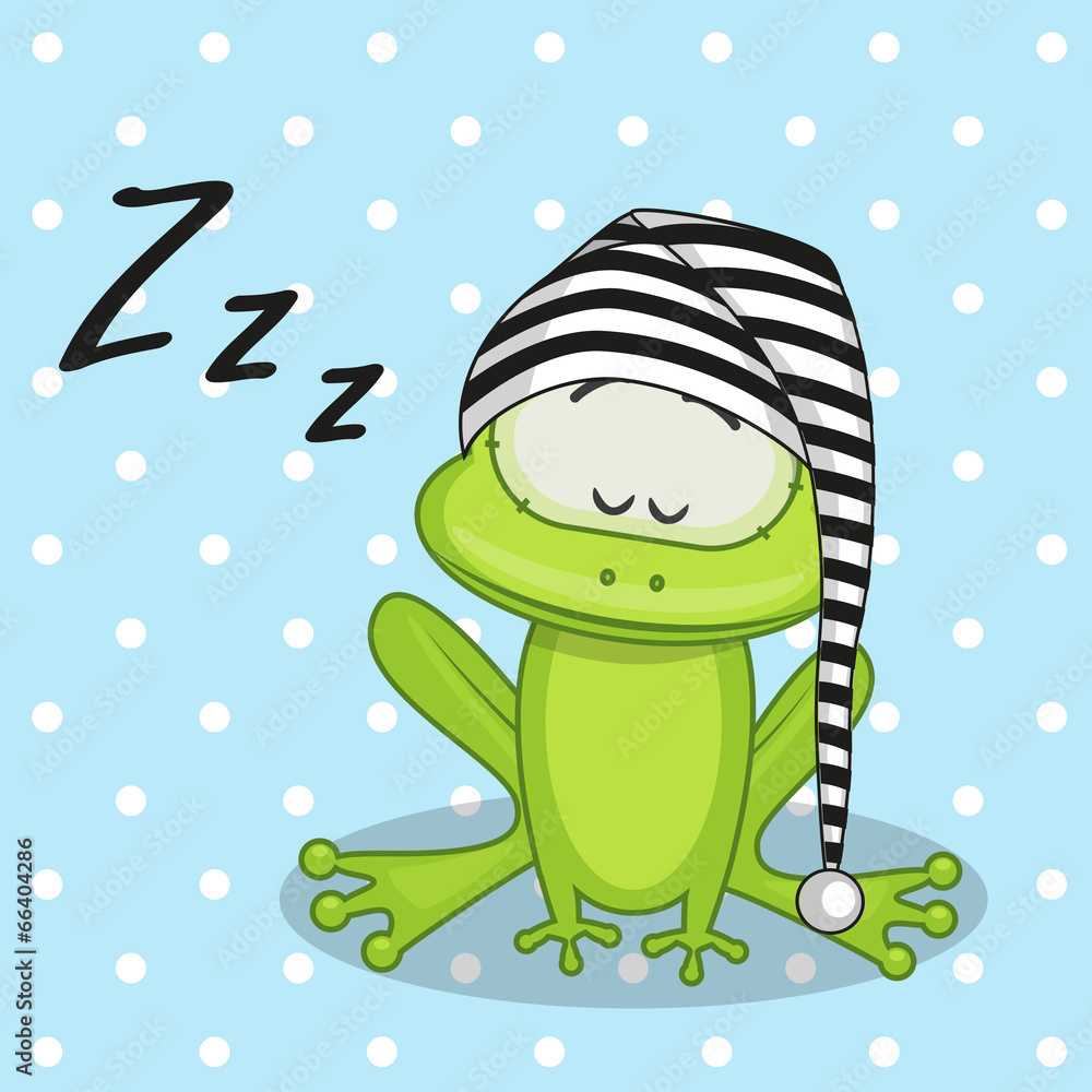 Obraz Pentaptyk Sleeping Frog