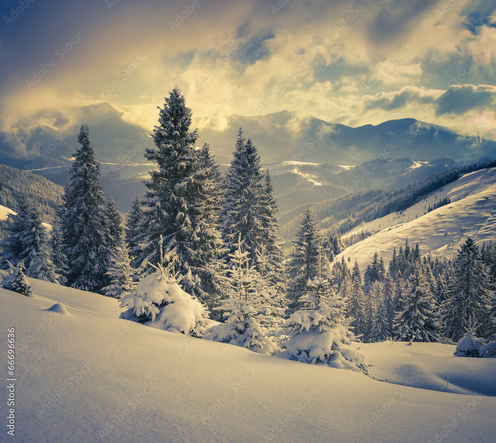 Fototapeta Beautiful winter landscape in