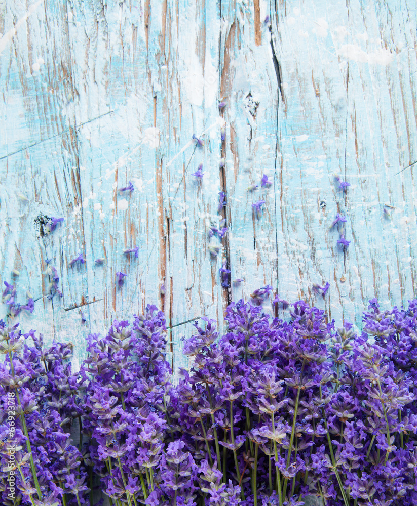 Fototapeta Fresh lavender on wood