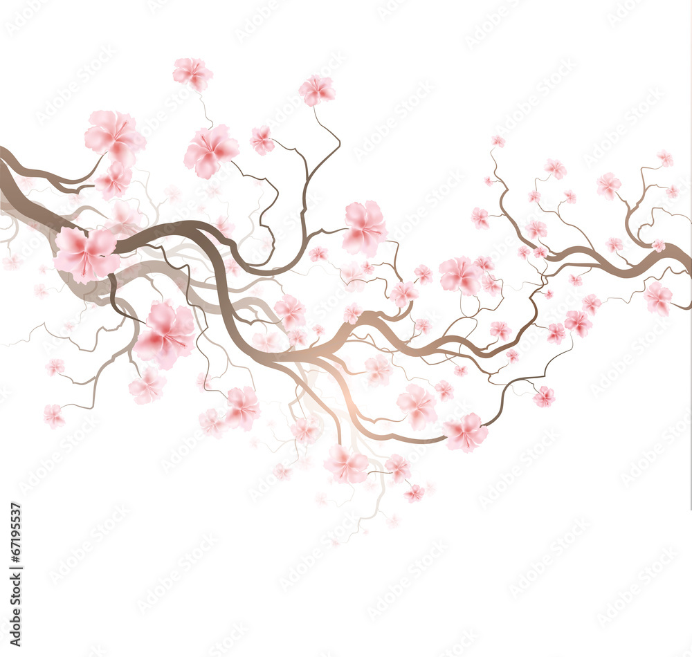 Obraz Dyptyk Sakura
