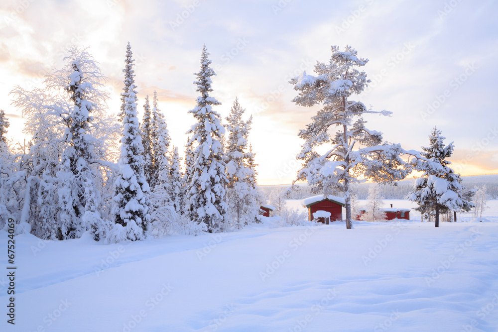 Obraz Pentaptyk Winter landscape