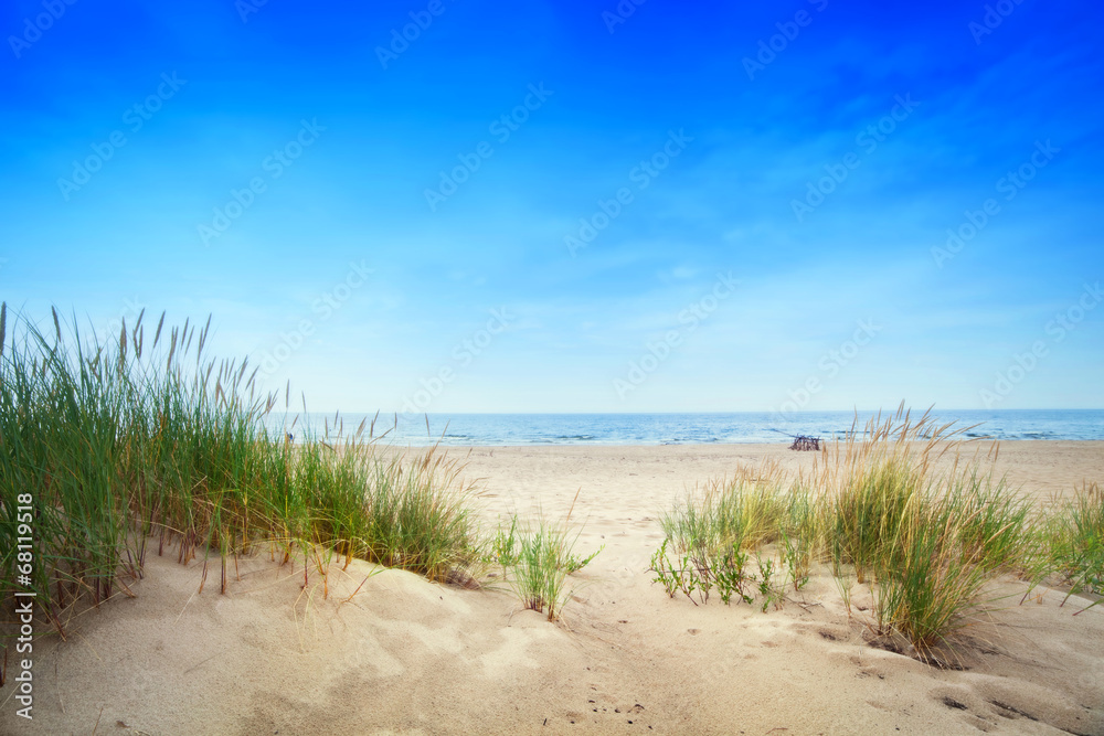 Fototapeta Calm beach with dunes and