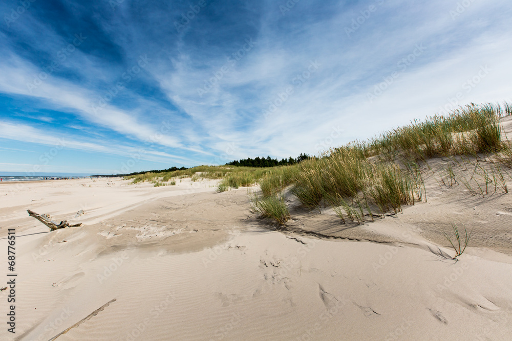 Fototapeta Moving dunes park near Baltic