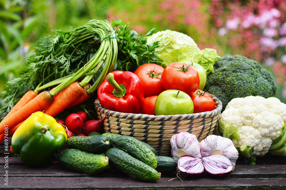 Obraz na płótnie Variety of fresh organic
