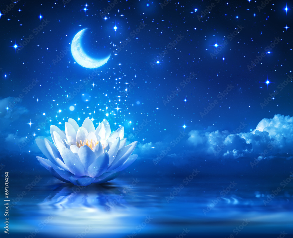 Fototapeta waterlily and moon in starry