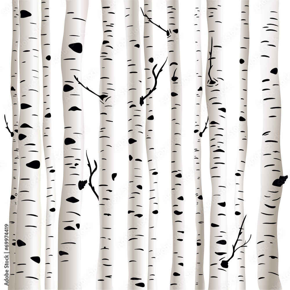 Obraz Dyptyk Birches in vector