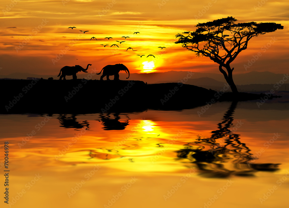 Fototapeta puesta de sol en Africa