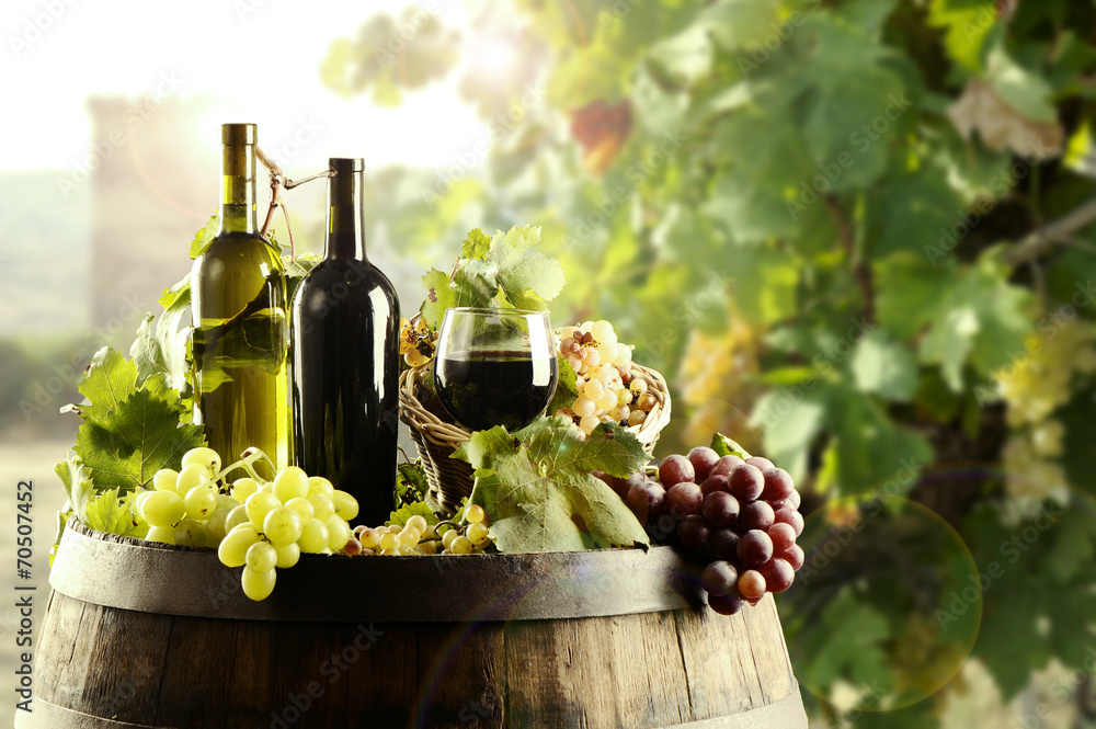 Fototapeta Wine with cask and vineyard