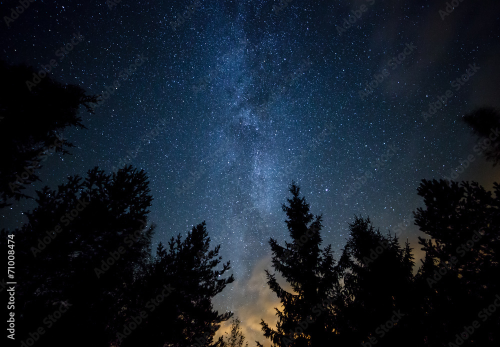 Obraz Pentaptyk Milky Way over the Forest