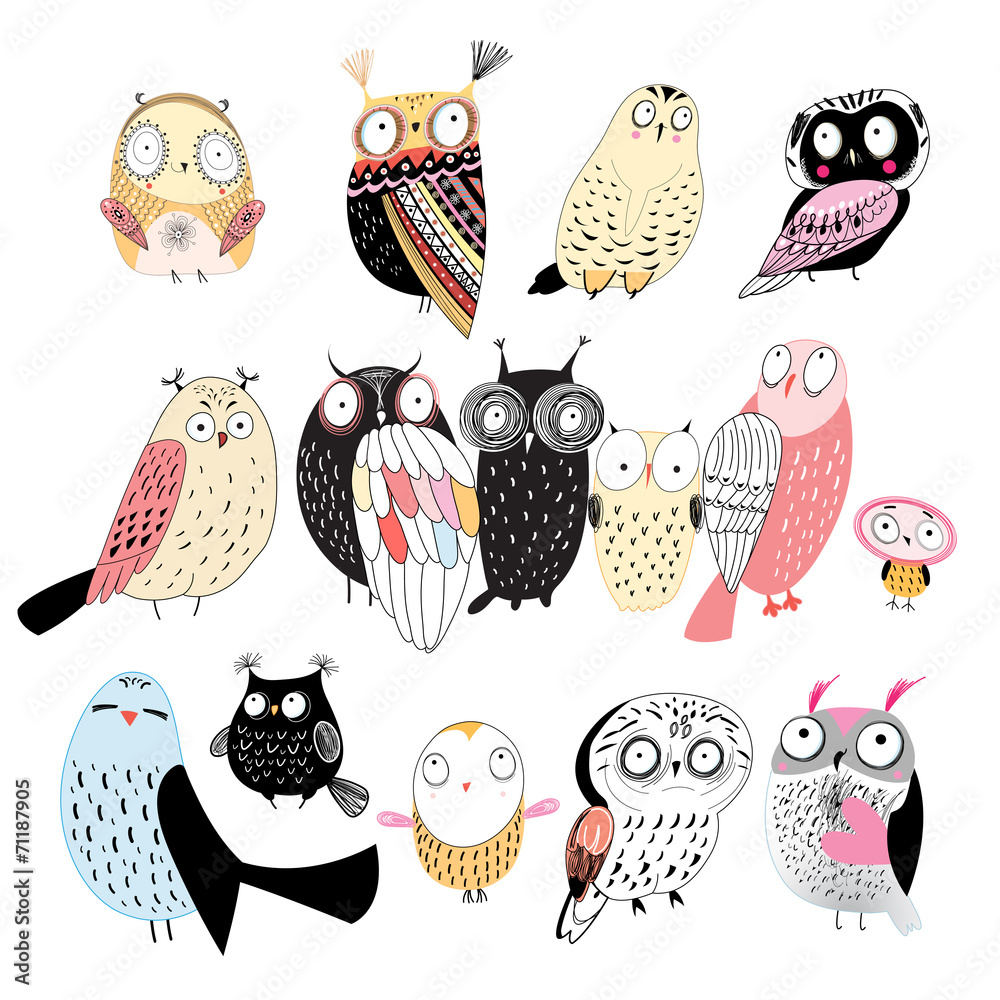 Obraz Tryptyk set of different owls