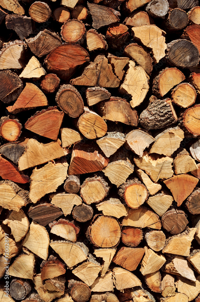 Fototapeta firewood logs