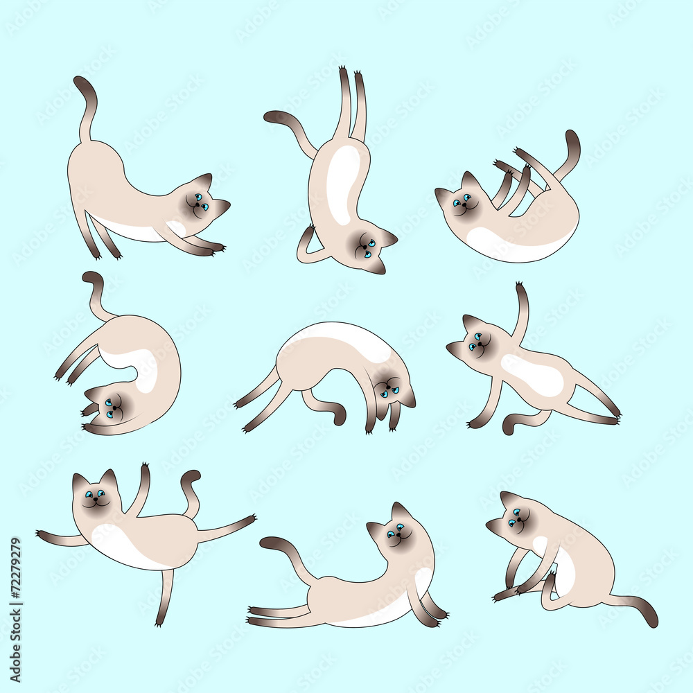 Obraz Pentaptyk Set on nine cute cats