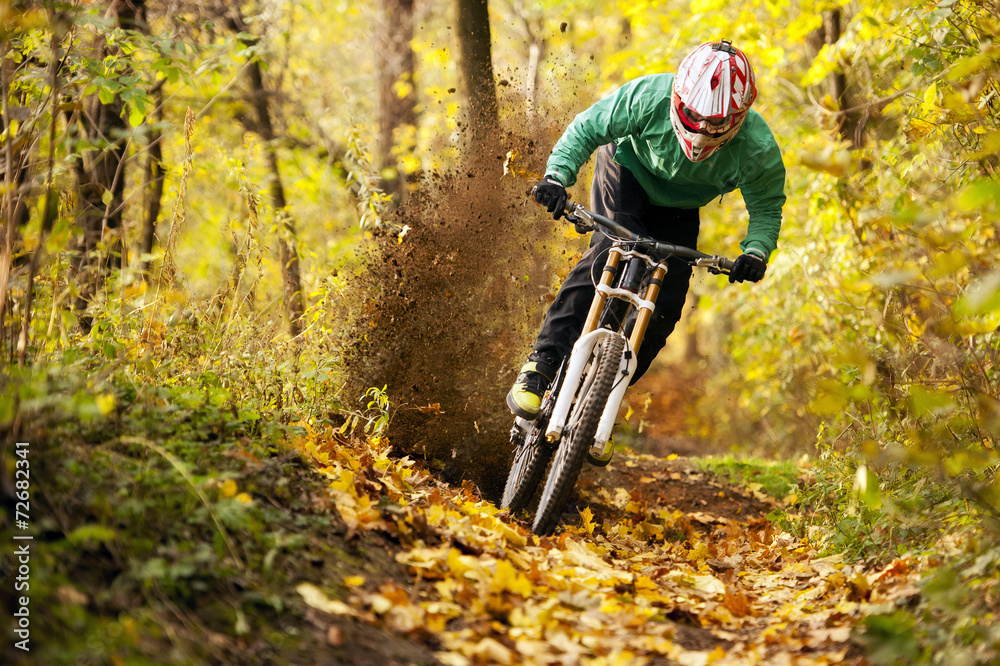 Obraz Tryptyk Mountainbiker rides in autumn