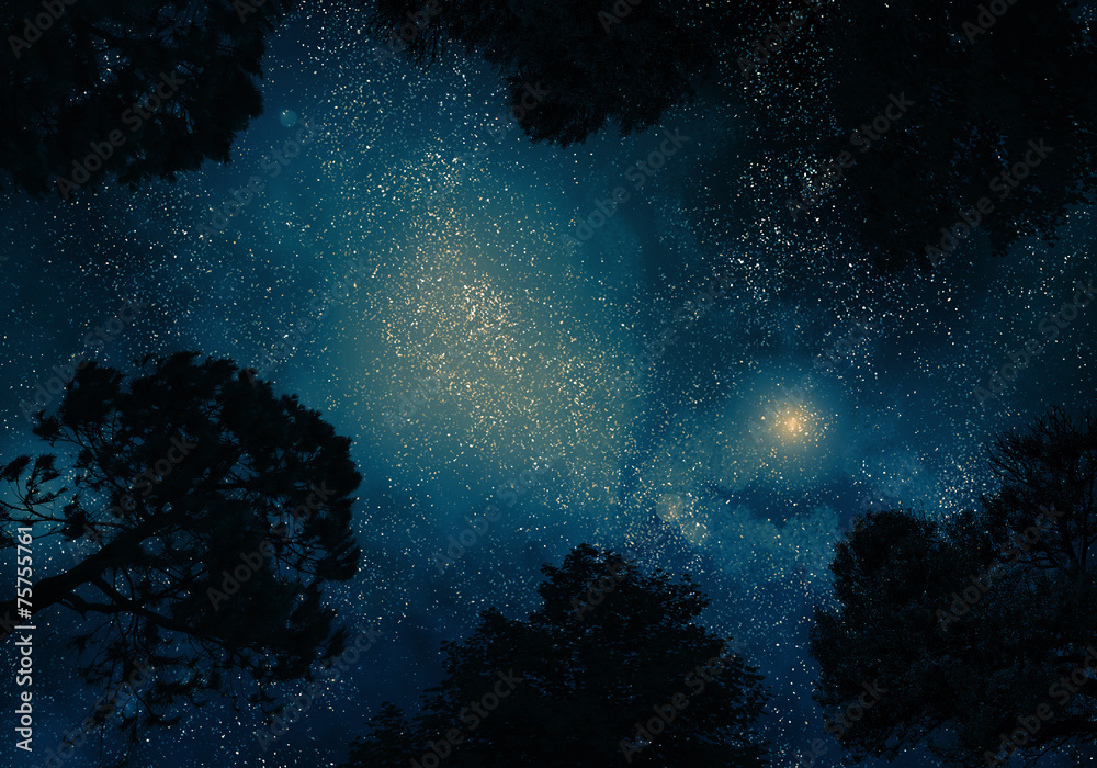 Obraz Tryptyk Starry sky through trees