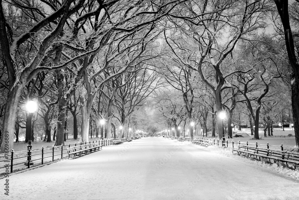 Fototapeta Central Park, NY covered in