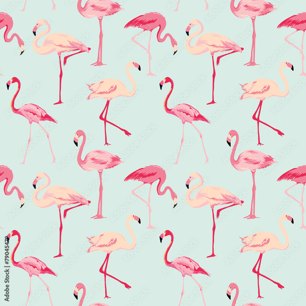 Tapeta Flamingo Bird Background -