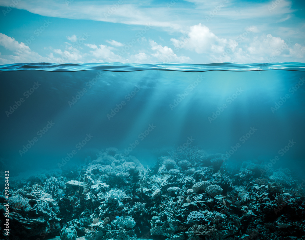 Obraz Tryptyk Sea or ocean underwater deep
