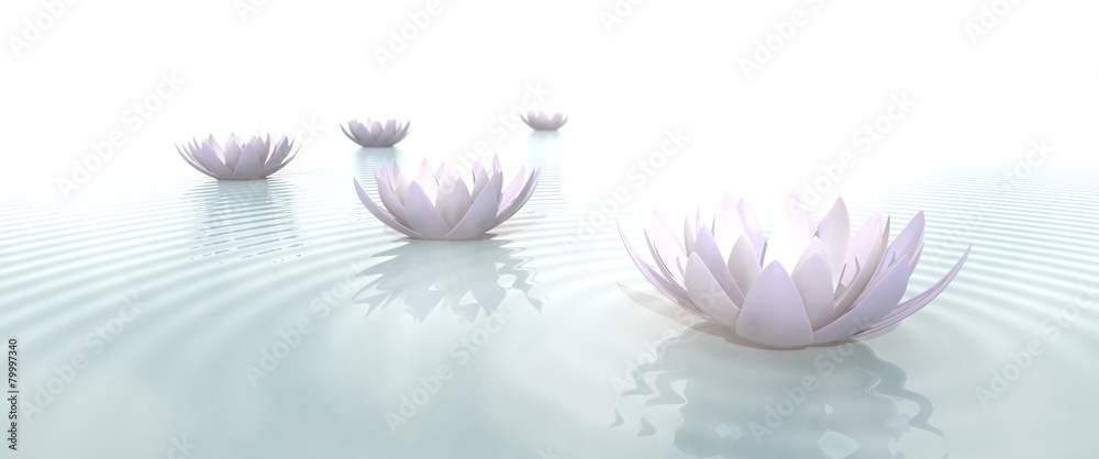 Obraz na płótnie Zen Flowers on water in