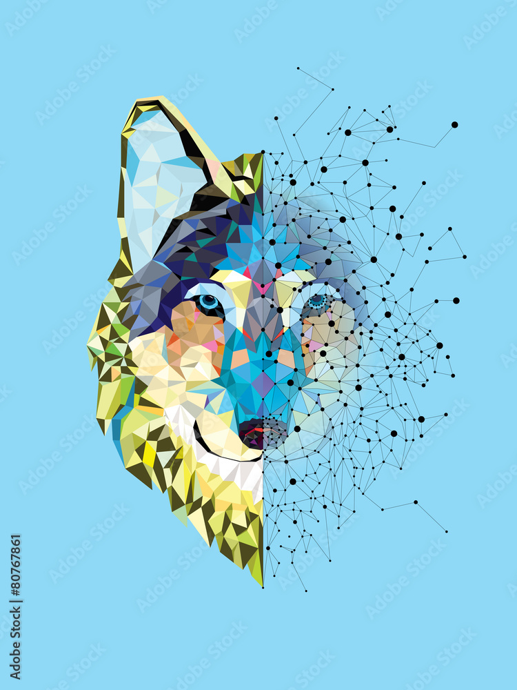 Fototapeta Wolf head in geometric pattern