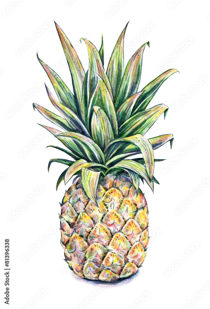 Obraz Tryptyk Pineapple on a white
