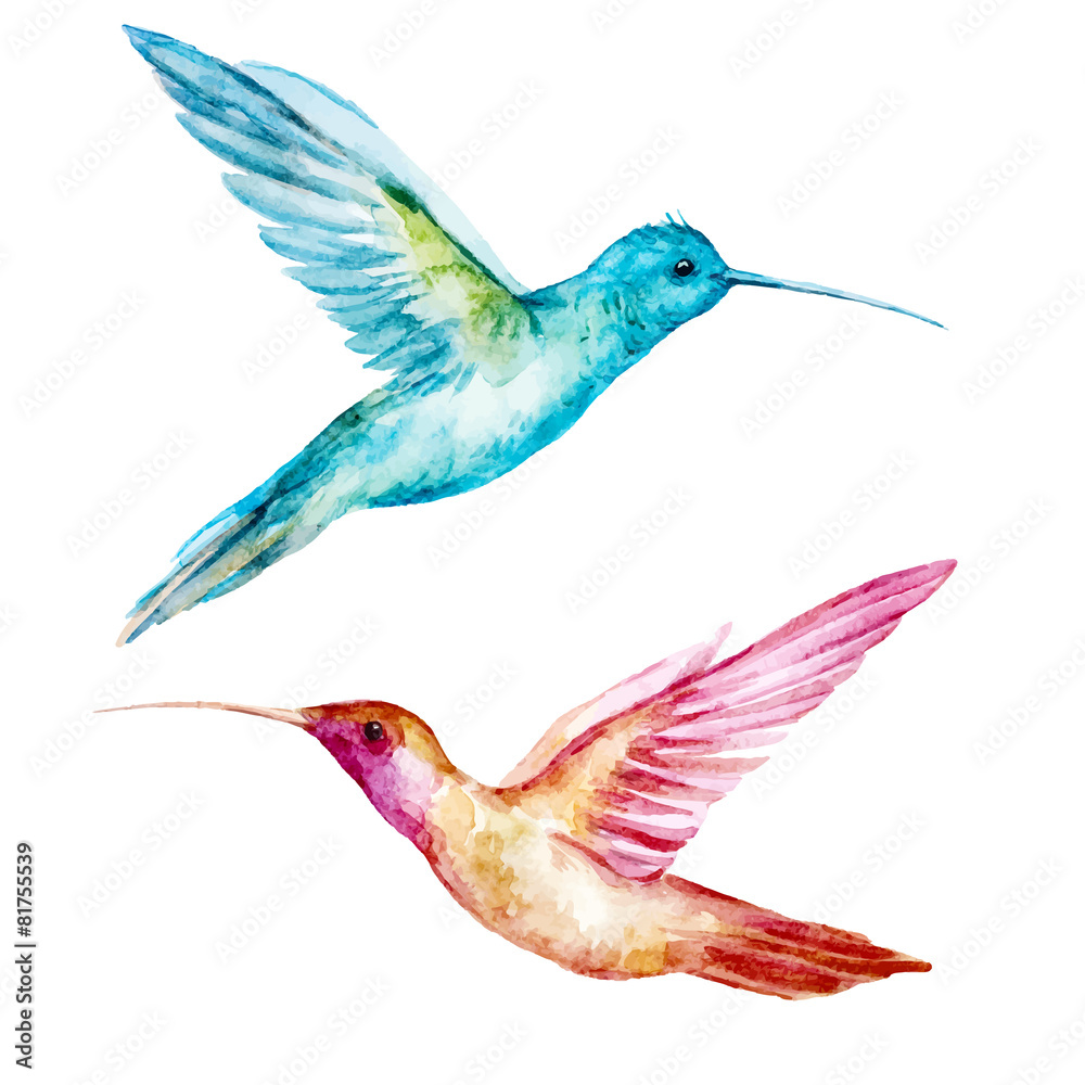 Obraz Tryptyk Watercolor colibri bird