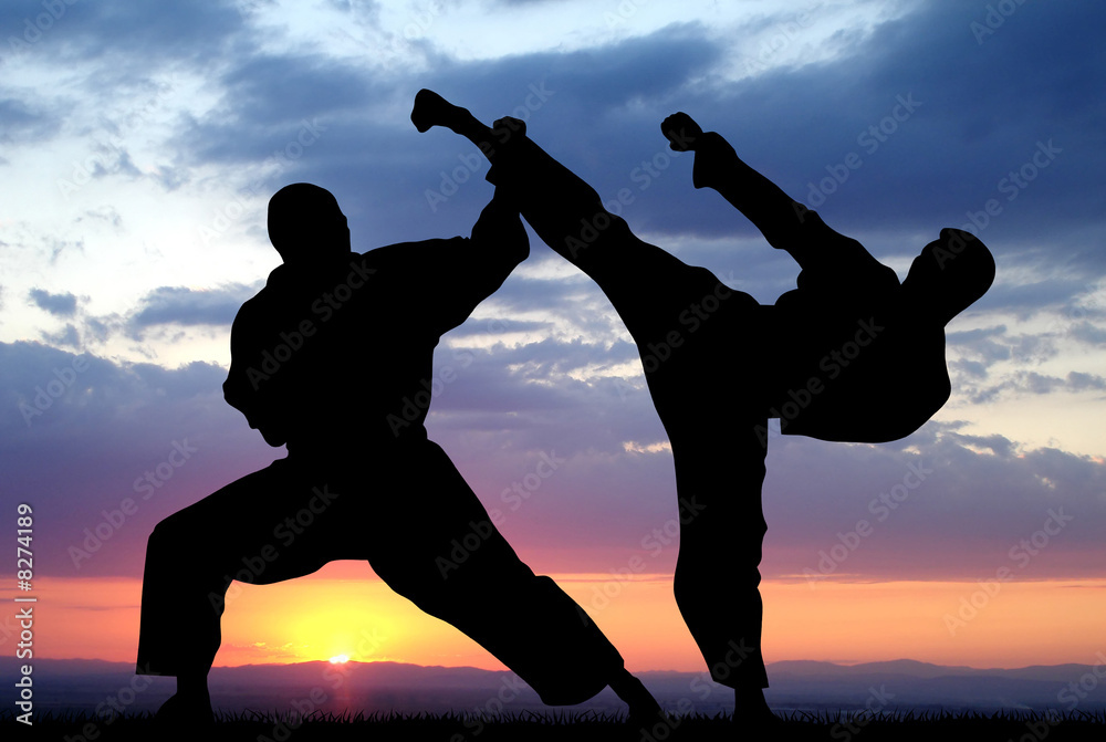 Obraz Kwadryptyk Martial art
