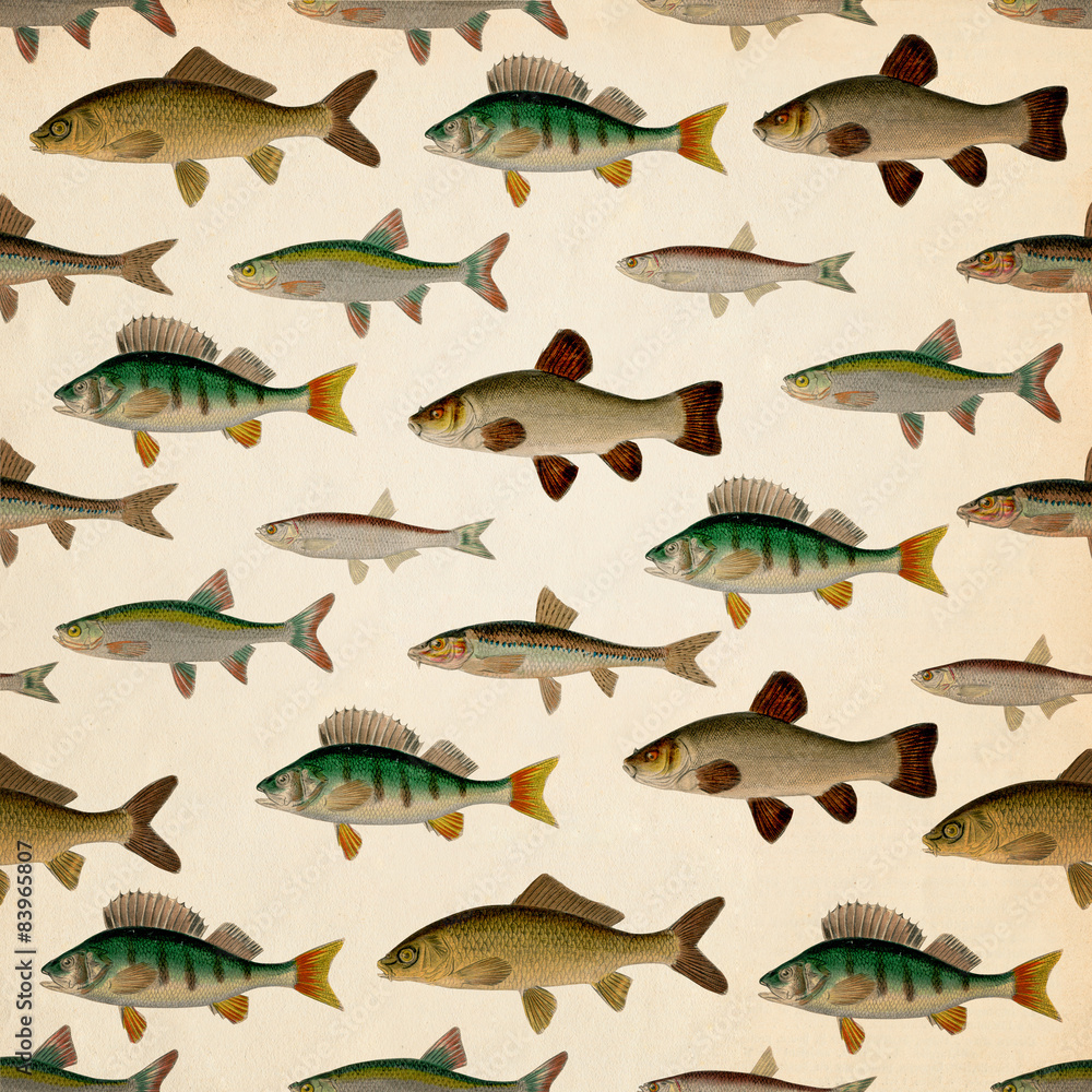 Tapeta Square Fish Background