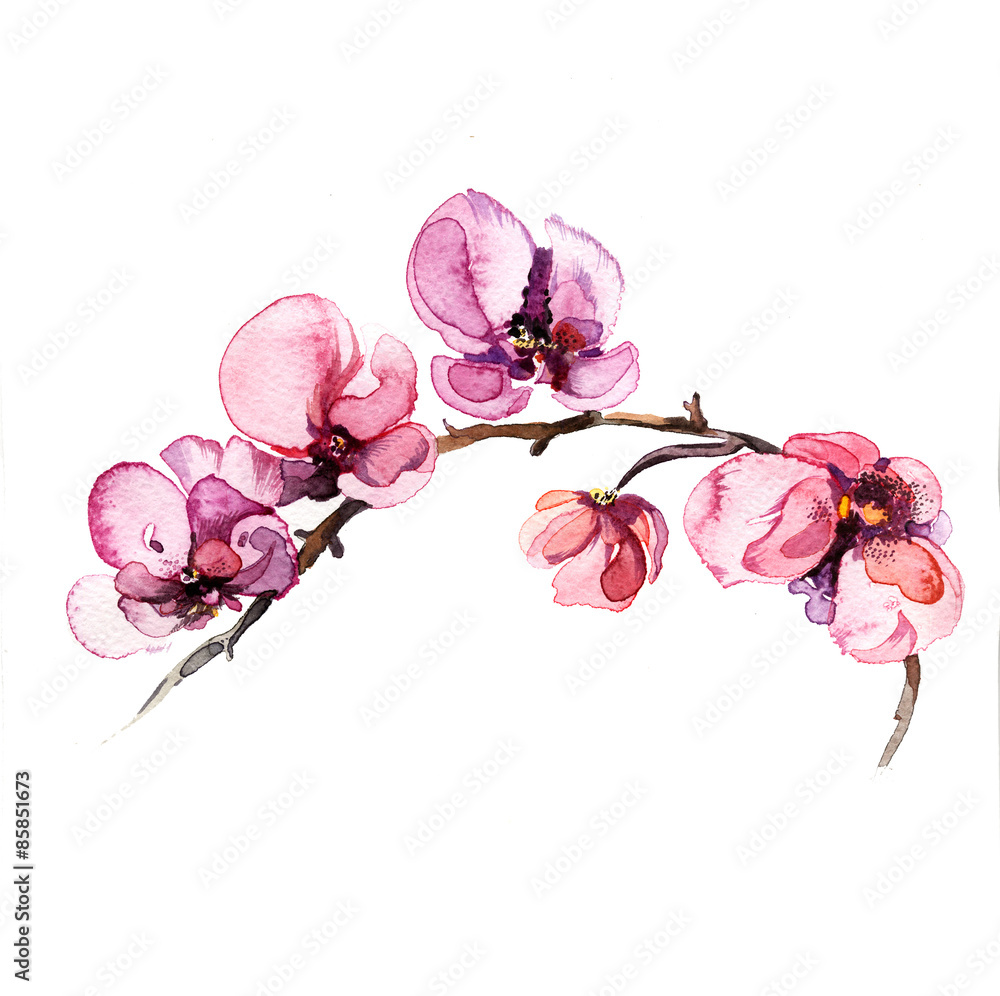 Obraz Kwadryptyk the watercolor flowers orchid