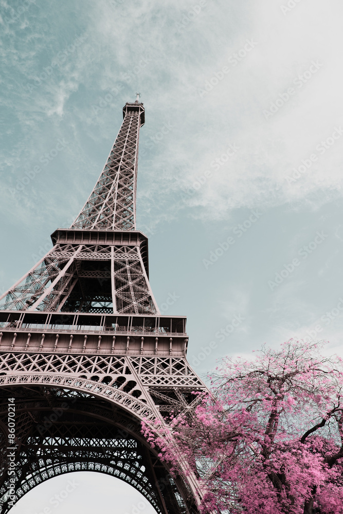 Fototapeta Eiffel tower