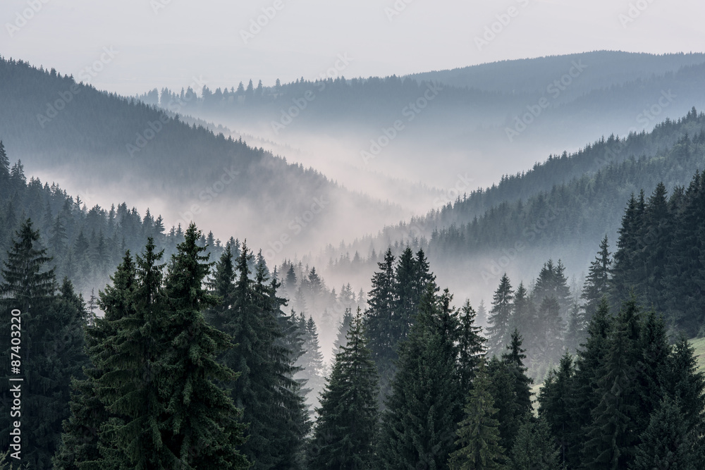Fototapeta Foggy Landscape. View From